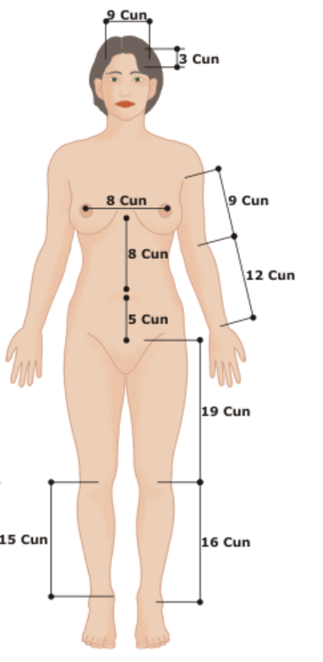 Cun-Maß an der Vorderseite des Körpers