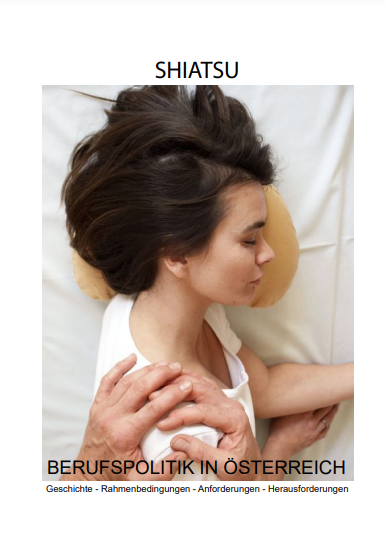 Skript Berufspolitik in Österreich