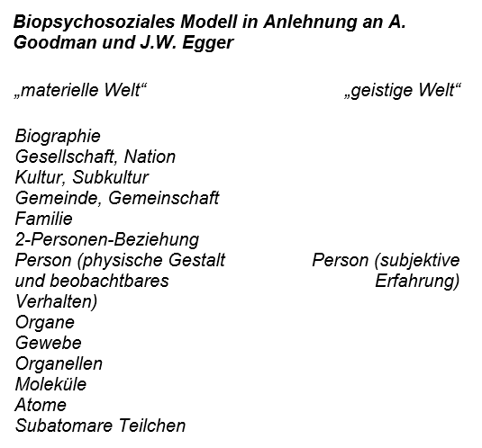 biosoziales Modell