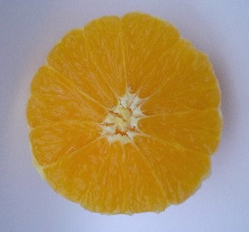 durchgeschnittene Orange