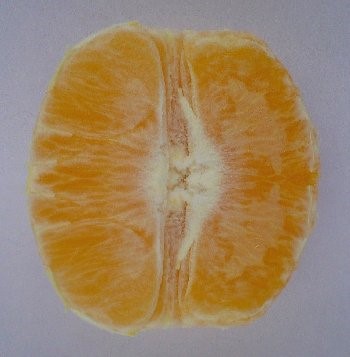 halbierte Orange