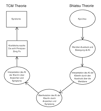 Unterschwiede zwischen Shiatsu- und TCM-Diagnose