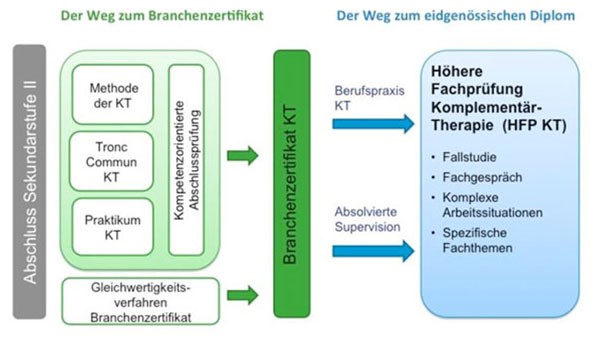 Der Weg zum Branchen- und eidgenössischen Diplom